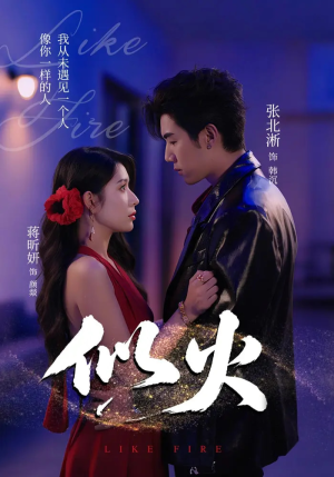 似火(80集) 似火(80集)短剧排行榜