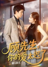 顾先生你的爱太迟了（60集）不用花钱看全剧