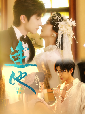 逢他（78集）最新短剧推荐