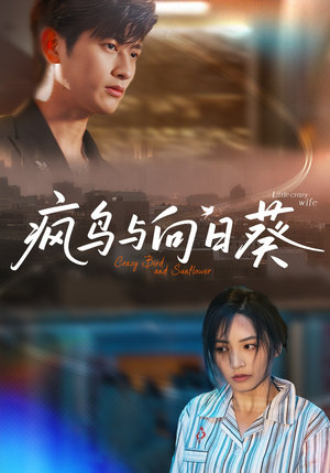 疯鸟与向日葵（40集）精彩短剧热播