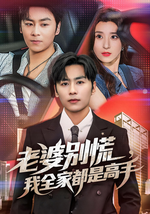 婆别慌我全家都是高手（58集）短剧推荐分享