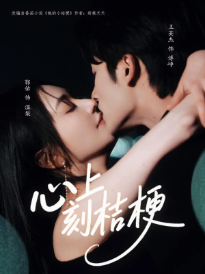 心上刻桔梗(90集) 心上刻桔梗(90集)热门爆款短剧