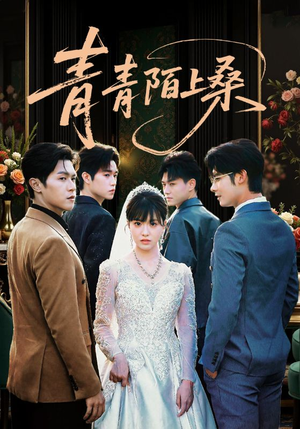 青青陌上桑（70集）爆款热门短剧