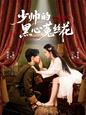少帅的黑心菟丝花（60集）短剧免费观看