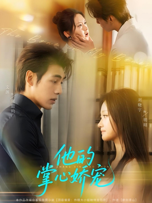 他的掌心娇宠（60集）今日短剧分享