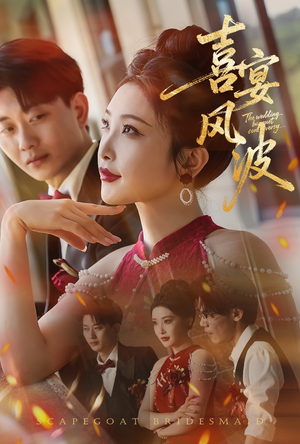 喜宴风波&替罪伴娘（30集）完整版免费观看