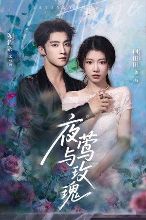 夜莺与玫瑰（66集）最新热门短剧