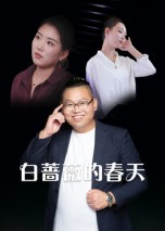 白蔷薇的春天（86集）短剧热播推荐