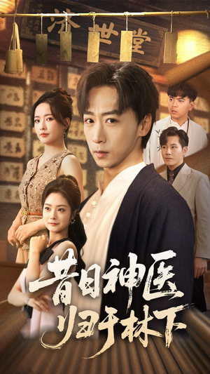 昔日神医归于林下（65集）热门爆款短剧
