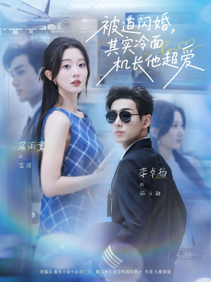 被迫闪婚其实冷面机长他超爱（77集）古装短剧热播