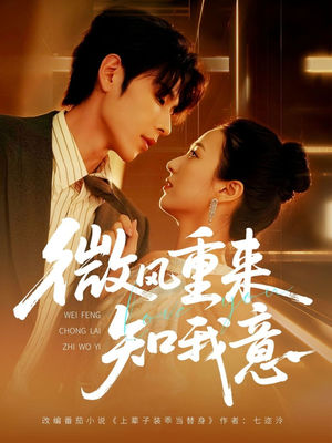 微风重来知我意（62集）最新短剧抢先看