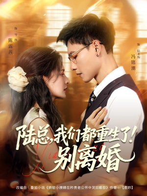 陆总我们都重生了别离婚（79集）第32集