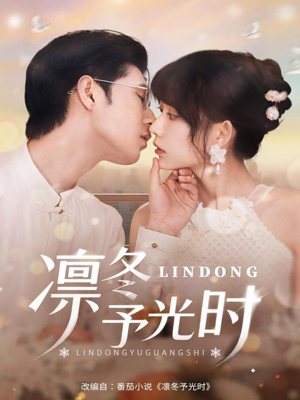 凛冬予光时(60集) 凛冬予光时(60集)在线观看