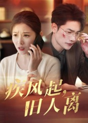 疾风起旧人离（32集）短剧介绍