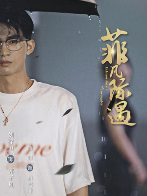 菲凡际遇（100集）在哪个平台看