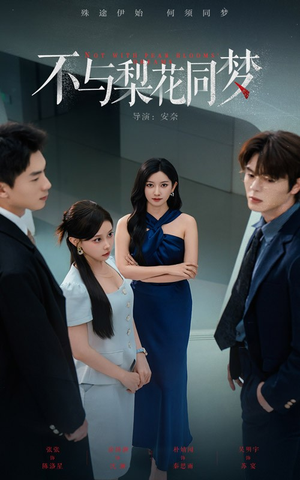 不与梨花同梦（50集）流畅播放免费看