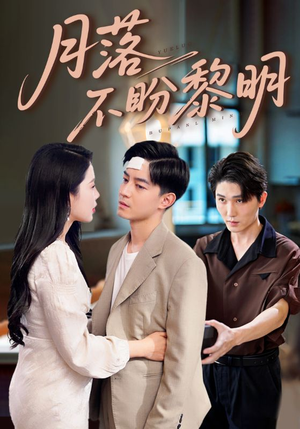 月落不盼黎明（64集）短剧免费看