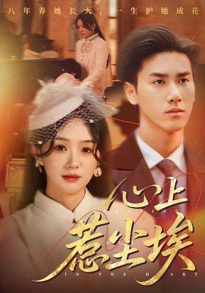 心上惹尘埃（57集）免费观看全集