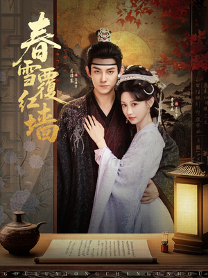 春雪覆红墙（84集）全集免费观看