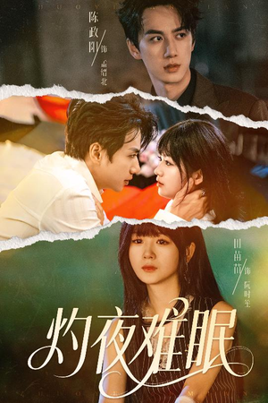 灼夜难眠(60集) 灼夜难眠(60集)在线免费观影