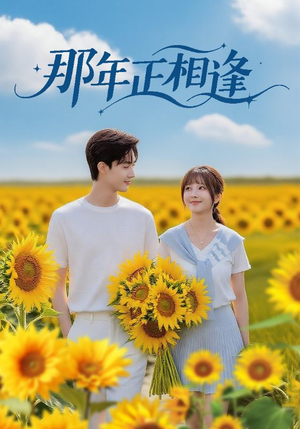 那年正相逢（60集）短剧全集抢先看