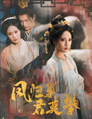 凤归巢君莫攀（60集）观看软件
