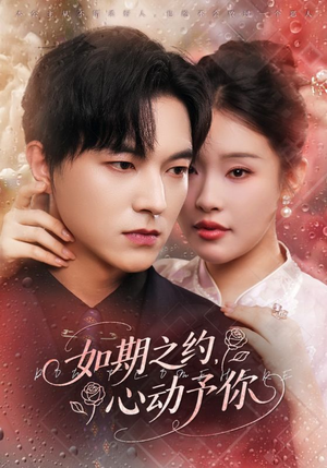 如期之约心动予你（82集）每日分享短剧