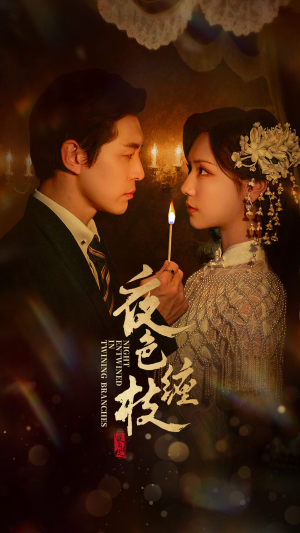 夜色缠枝百度HE版本（62集）短剧