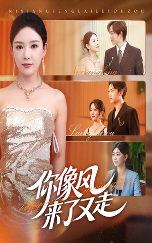 你像风来了又走（59集）推荐热门短剧