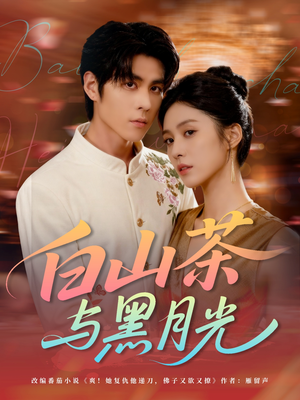 白山茶与黑月光（59集）观看软件