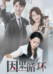 因果循环（45集）海量资源免费看