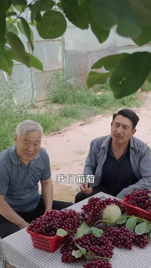 回档2000开启极品人生（106集）精彩短剧分享