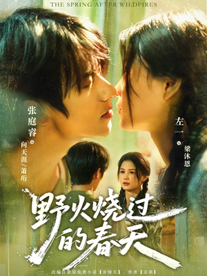 野火烧过的春天（85集）最火短剧热播中