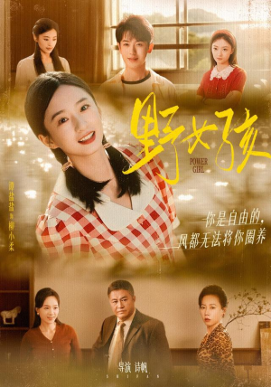 野女孩（91集）每天短剧分享