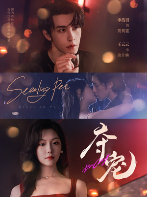 夺宠（88集）全剧看到大结局