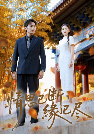 情思已断缘已尽（80集）爆款短剧追不停