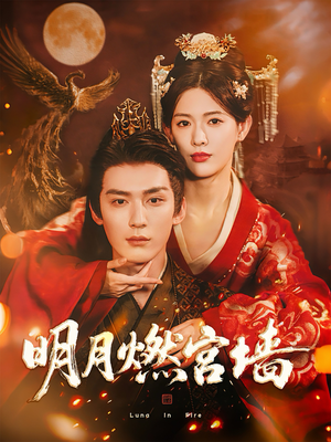 明月燃宫墙（60集）精彩的网络短剧