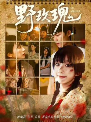 野玫瑰(82集) 野玫瑰(82集)免费看全集