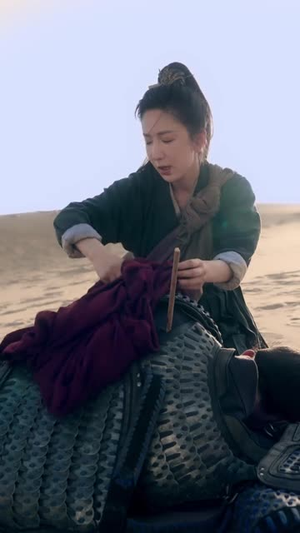 我为将军披战袍（69集）推荐你们也去看