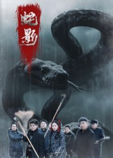 蛇影（25集）免费短剧全集看