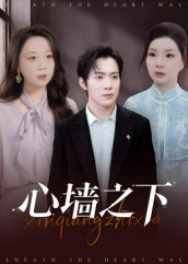 心墙之下（43集）一共多少集