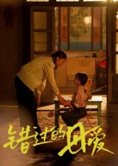 错过的母爱(32集) 错过的母爱(32集)短剧更新抢先看