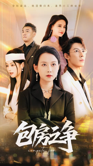 包房之争（50集）热播短剧免费看