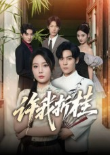 许我折桂（70集）去哪里看