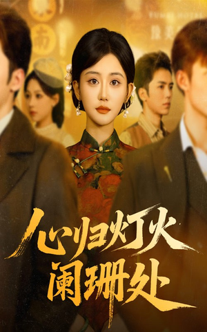 心归灯火阑珊处（71集）全集在线看