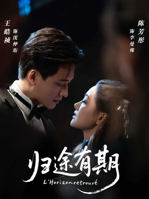 归途有期（60集）热播短剧重燃