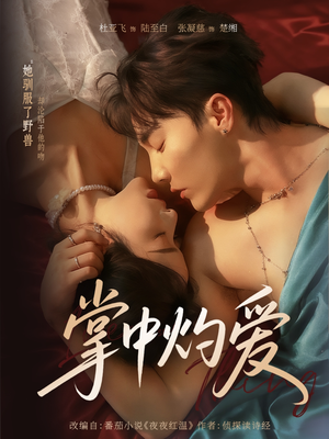 掌中灼爱（62集）爱短剧爱追剧