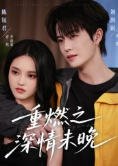 重燃之深情未晚（70集）全集下载