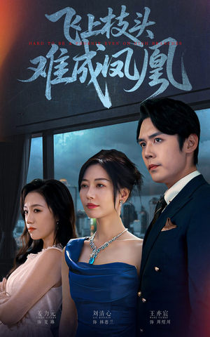 飞上枝头难成凤凰（47集）爆款热门短剧