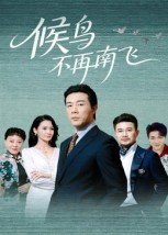 候鸟不再南飞（80集）小短剧抢先看